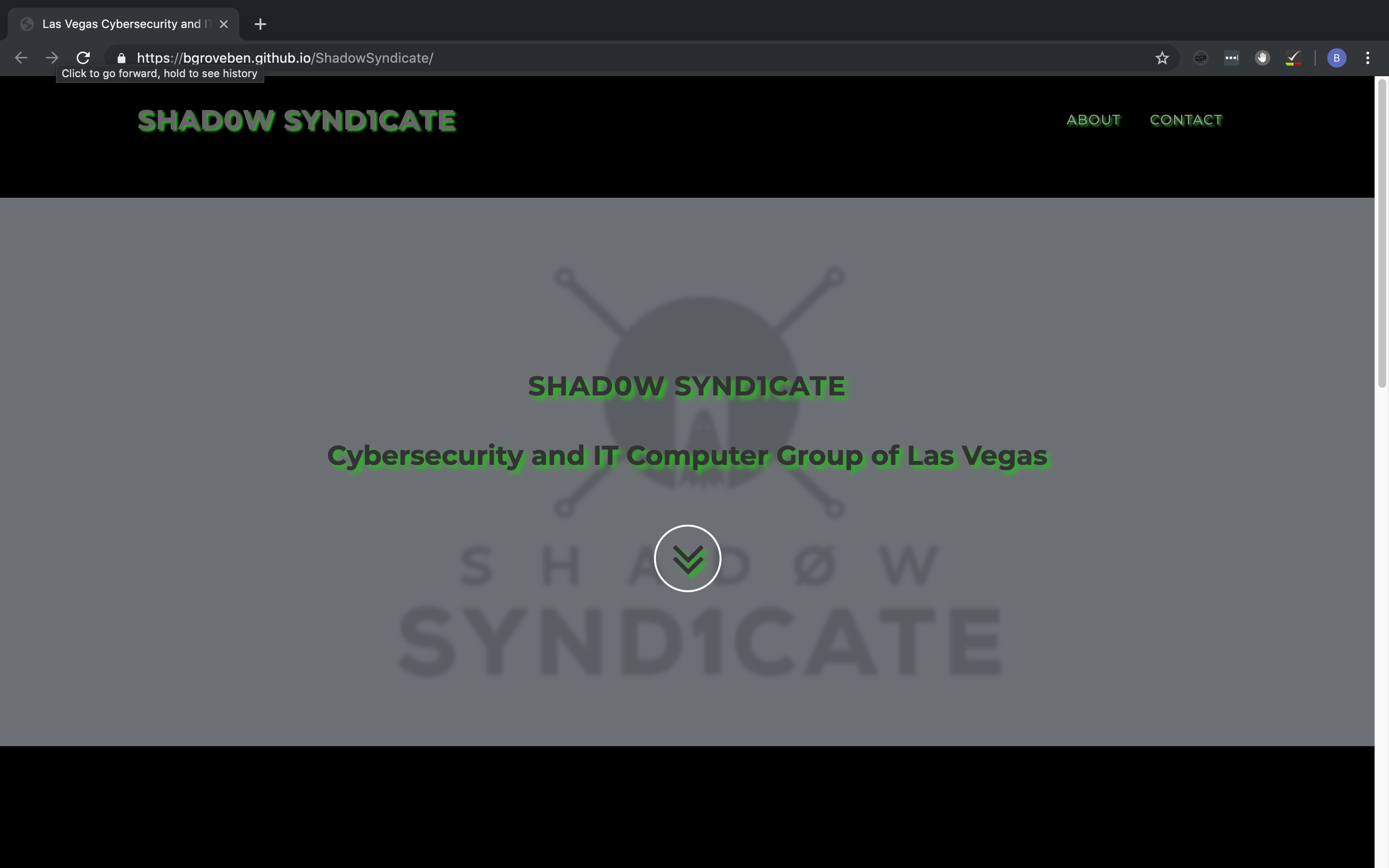 Shadow Syndicate Website